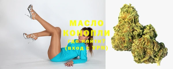 крисы Абаза