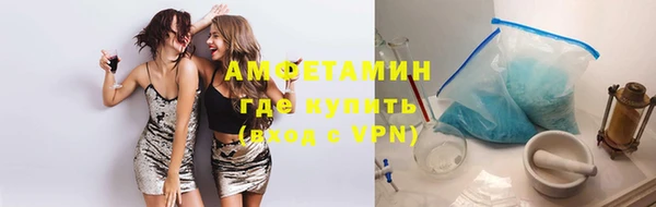 крисы Абаза