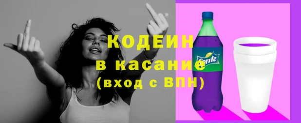 крисы Абаза