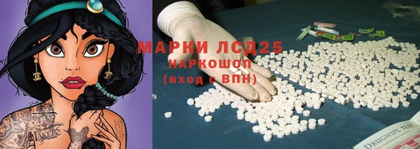 крисы Абаза