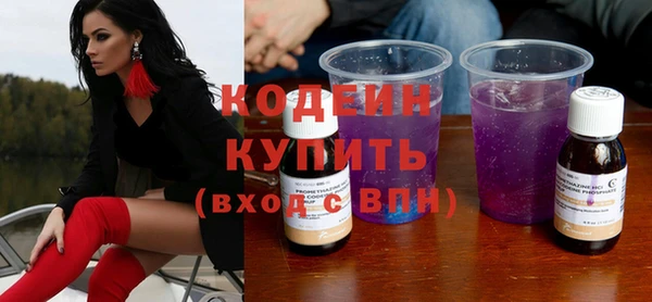 крисы Абаза