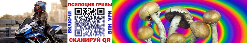 Галлюциногенные грибы Cubensis  Комсомольск-на-Амуре 